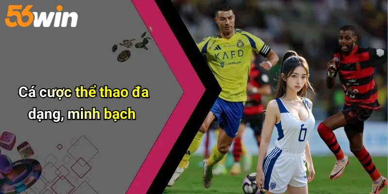 Cá cược thể thao đa dạng, minh bạch
